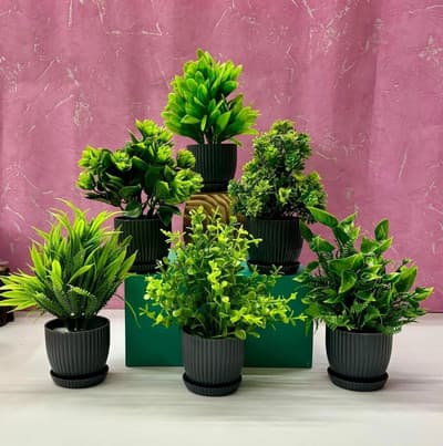 JJ Plastic 6-Piece Mini Artificial Plants Set with Pots – Farmhouse Decor Essentials
